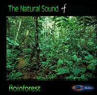 Rainforest - Natural Sounds CD