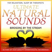 Birdsong by the Stream - natural sounds