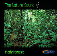 Rainforest - Natural Sounds CD
