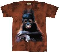 10-1492 - Orangutan Baby